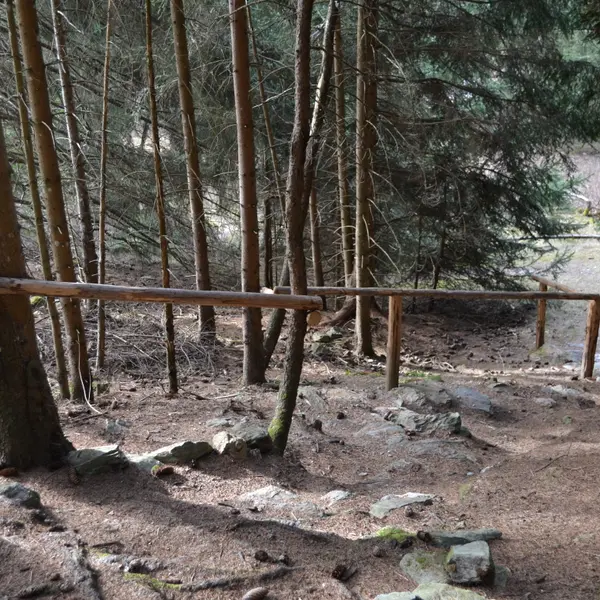 Aufstieg zu den Schalensteinen